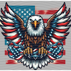 USA-MG 3594